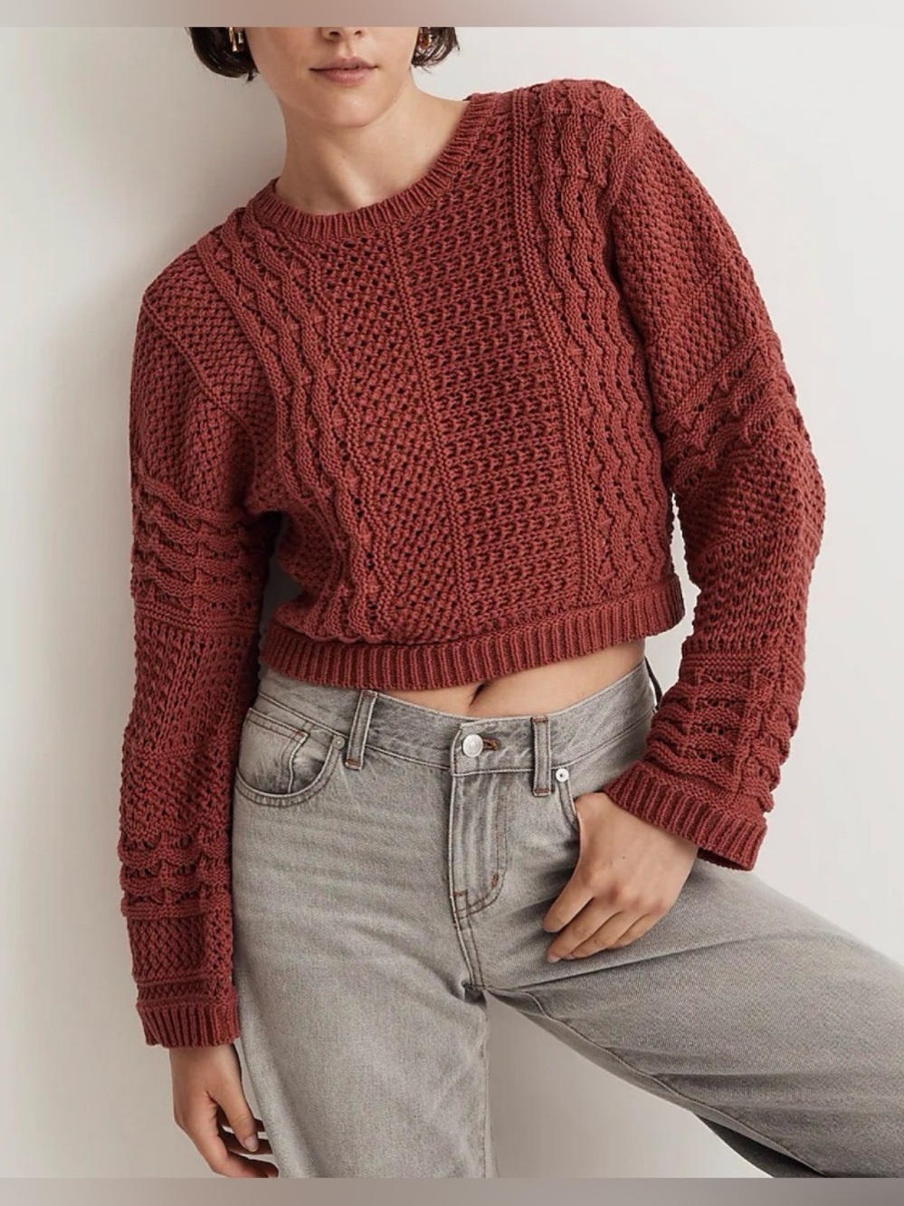 Madewell Cropped Cotton Chunky Crochet Knit Crewneck Sweater in Antique Rose